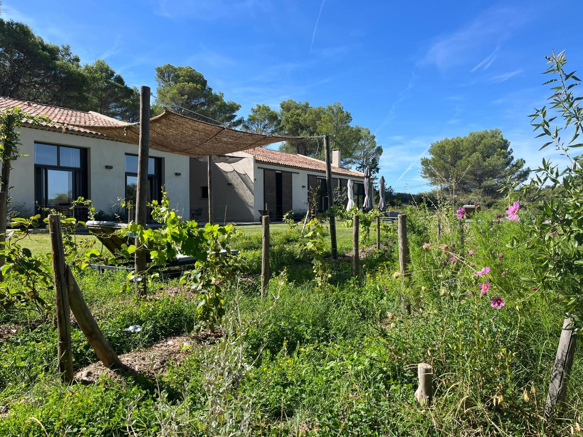 La Bergerie Du Roy-Chambres D'Hotes- Rognes Eksteriør bilde